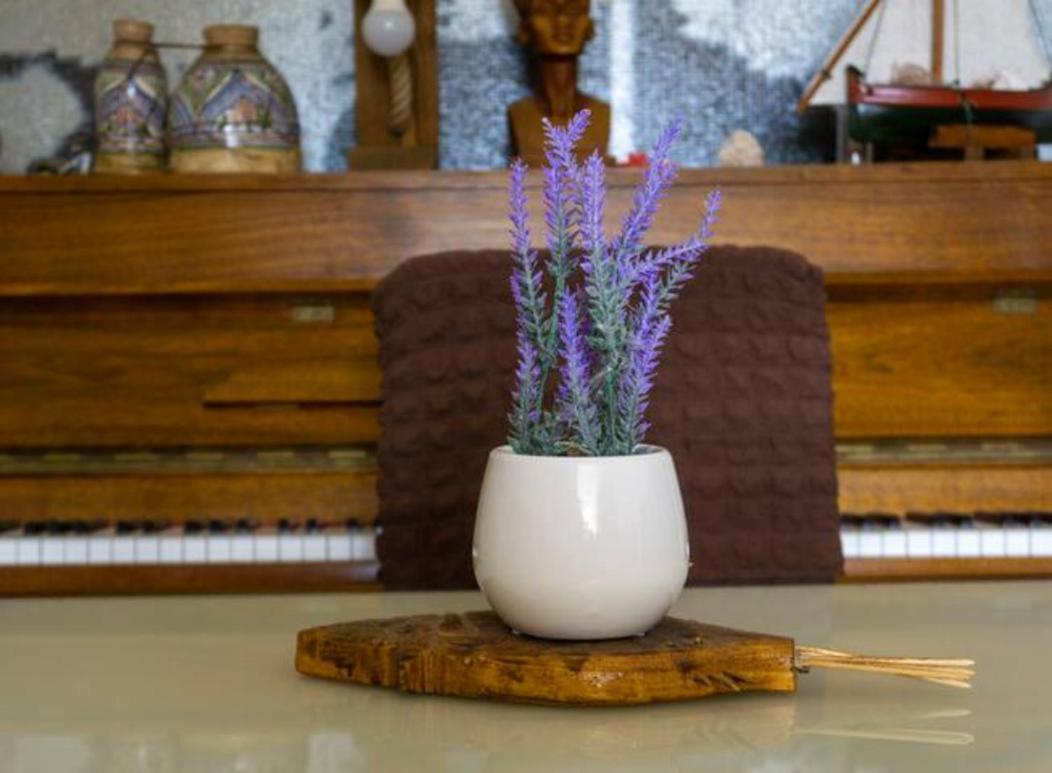 Guesthouse Lion Сплит Экстерьер фото